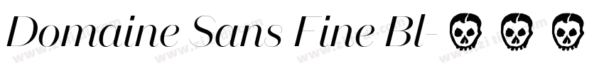 Domaine Sans Fine Bl字体转换